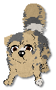 Buddy