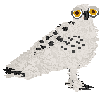 Hedwig