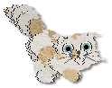 Kite
