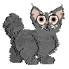 Alejandro