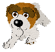 Cocoa