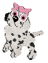 Pixel