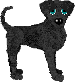 SGCh APS' Soot Happens