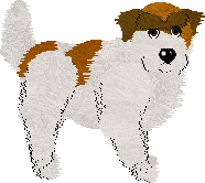 Mountain Hound