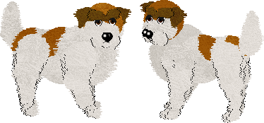 Mountain Hound showcase