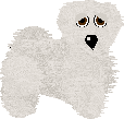 Albie