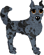 Nikita