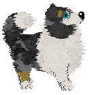 Spellbana