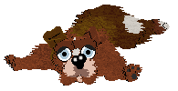 Cinnamon entry