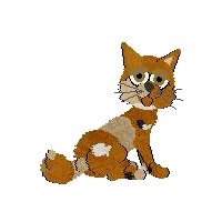 Fugue the cat
